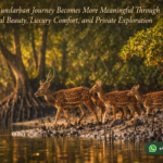 Why a Sundarban Journey Becomes More Meaningful Through Natural Beauty, Luxury Comfort, and Private Exploration