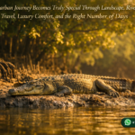 Why a Sundarban Journey Becomes Truly Special Through Landscape, River Life, Slow Travel, Luxury Comfort, and the Right Number of Days