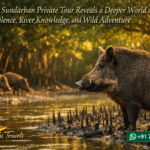 Why a Sundarban Private Tour Reveals a Deeper World of Silence, River Knowledge, and Wild Adventure
