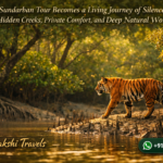 Why a Sundarban Tour Becomes a Living Journey of Silence Rhythm Hidden Creeks Private Comfort and Deep Natural Wonder