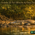 Why a Sundarban Tour Feels Different from Any Ordinary Nature Holiday