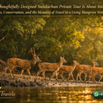 Why a Thoughtfully Designed Sundarban Private Tour Is About Intimacy, Access, Conservation, and the Meaning of Travel in a Living Mangrove World