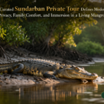 Why a Well-Curated Sundarban Private Tour Defines Modern Luxury Travel Through Privacy, Family Comfort, and Immersion in a Living Mangrove World
