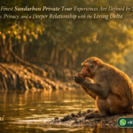 Why the Finest Sundarban Private Tour Experiences Are Defined by Silence, Safety, Privacy, and a Deeper Relationship with the Living Delta