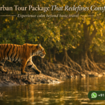Sundarban Tour Package That Redefines Comfort - Experience calm beyond basic travel