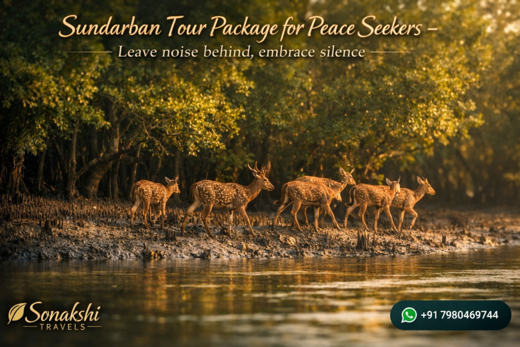 Sundarban Tour Package for Peace Seekers - Leave noise behind, embrace silence