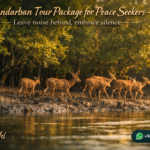 Sundarban Tour Package for Peace Seekers - Leave noise behind, embrace silence