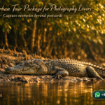 Sundarban Tour Package for Photography Lovers - Capture moments beyond postcards