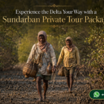 Experience the Delta Your Way with a Sundarban Private Tour Package