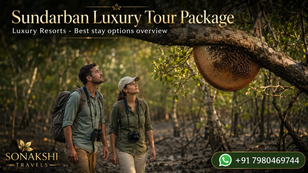 Sundarban Luxury Tour Package Luxury Resorts - Best stay options overview