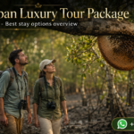 Sundarban Luxury Tour Package Luxury Resorts - Best stay options overview