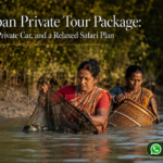 Sundarban Private Tour Package: Private Boat, Private Car, and a Relaxed Safari Plan