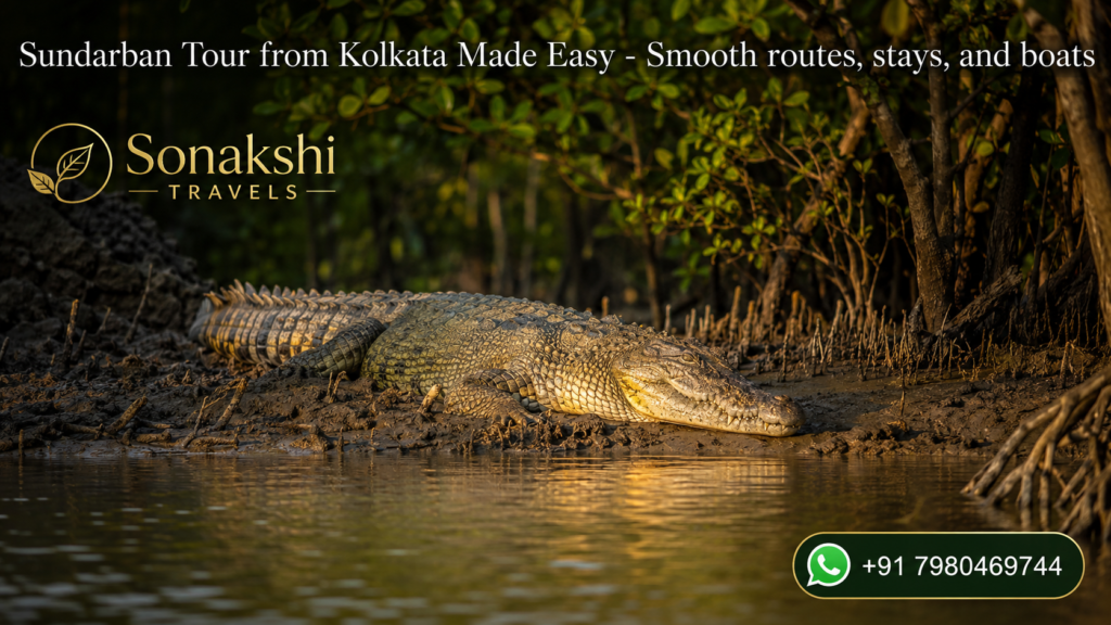 Sundarban Tour from Kolkata Made Easy - Smooth routes, stays, and boats