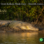 Sundarban Tour from Kolkata Made Easy - Smooth routes, stays, and boats