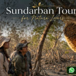 Sundarban Tour for Nature Lovers