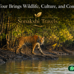Sundarban Tour Brings Wildlife, Culture, and Comfort Together