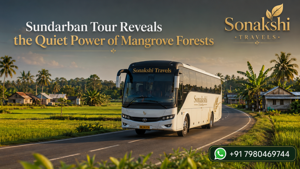 Sundarban Tour Reveals the Quiet Power of Mangrove Forests