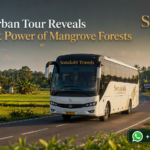 Sundarban Tour Reveals the Quiet Power of Mangrove Forests