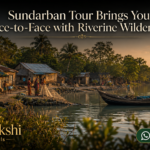 Sundarban Tour Brings You Face-to-Face with Riverine Wilderness