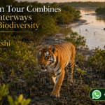 Sundarban Tour Combines Scenic Waterways with Rich Biodiversity