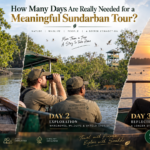 How Many Days Are Really Needed for a Meaningful Sundarban Tour?