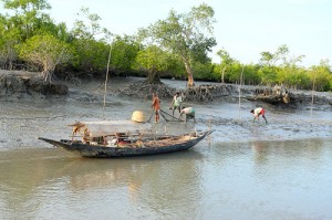 sundarban tourist boat point