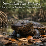 Sundarban Tour Package A Journey to the Land of the Giant Salamander