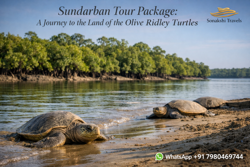 Sundarban Tour Package: A Journey to the Land of the Olive Ridley Turtles