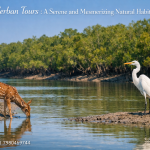 A Serene and Mesmerizing Natural Habitat