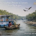 Exploring the Wonders of Sundarban Travel