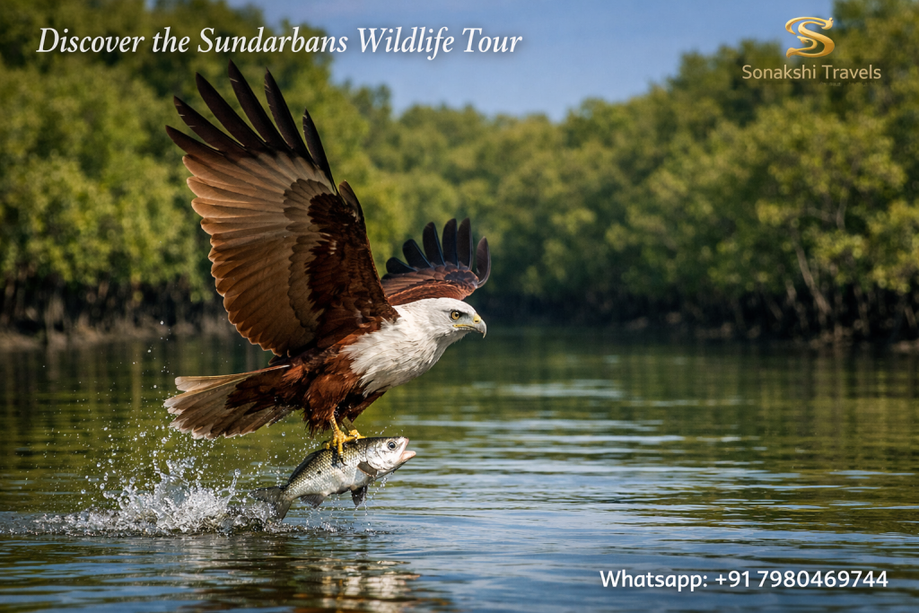 Discover the Sundarbans Wildlife Tour