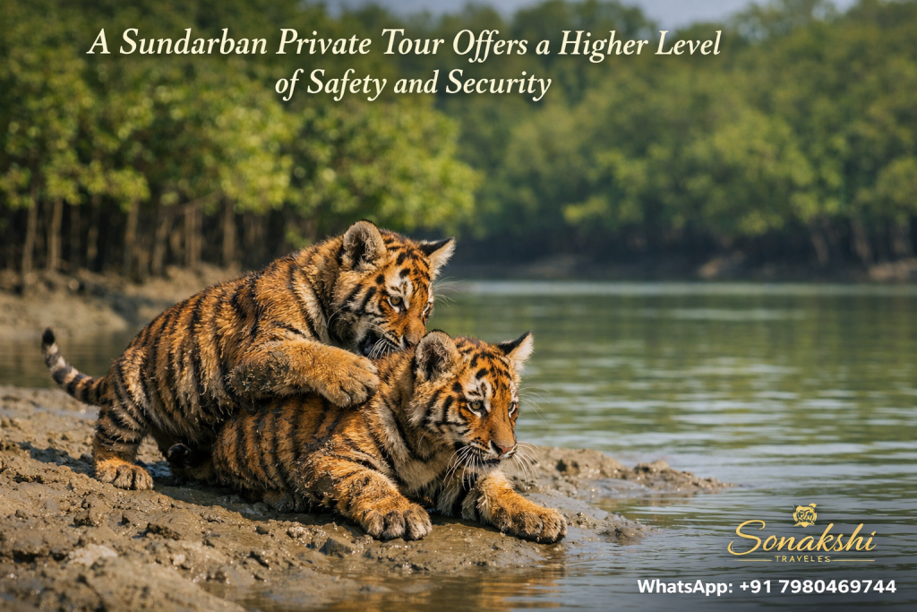 A Sundarban Private Tour Offers a Higher Level of Safety and Security