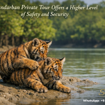 A Sundarban Private Tour Offers a Higher Level of Safety and Security
