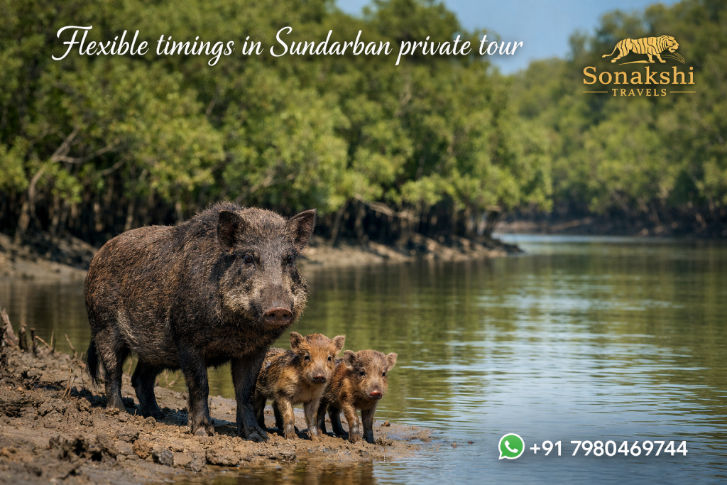 Flexibile timings in Sundarban private tour
