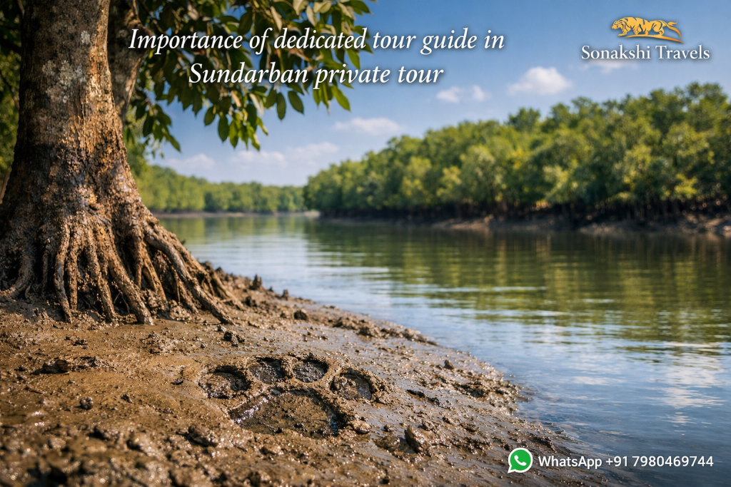 Importance of dedicated tour guide in Sundarban private tour