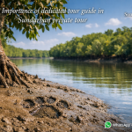 Importance of dedicated tour guide in Sundarban private tour