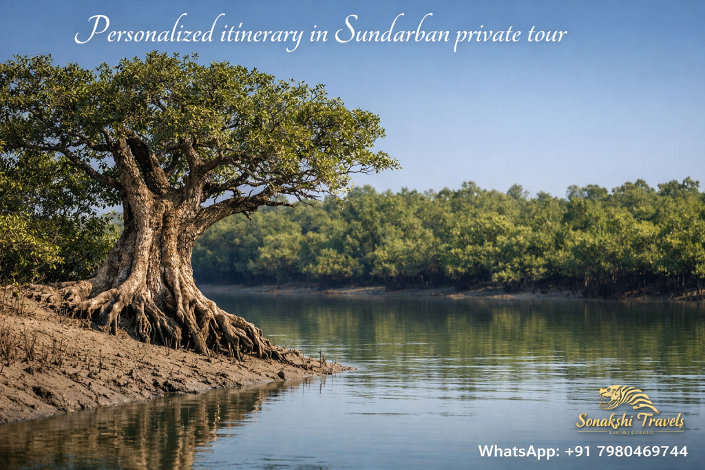 Personalized Itinerary in Sundarban Private Tour