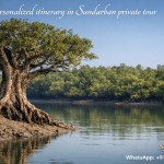 Personalized Itinerary in Sundarban Private Tour