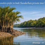Why travelers prefer to book Sundarban private tour