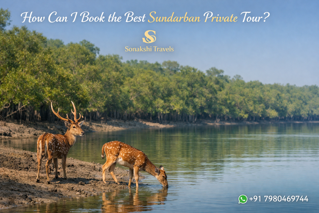How Can I Book the Best Sundarban Private Tour