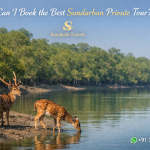 How Can I Book the Best Sundarban Private Tour