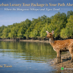 Sundarban Luxury Tour Package is Your Path Ahead