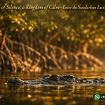 A Palace of Silence, a Kingdom of Calm—Enter the Sundarban Luxury Tour