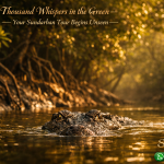 A Thousand Whispers in the Green — Your Sundarban Tour Begins Unseen