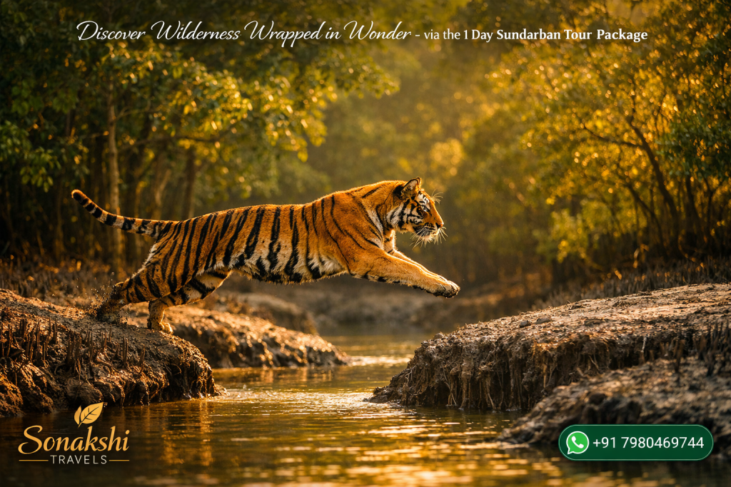Discover Wilderness Wrapped in Wonder - via the 1 Day Sundarban Tour Package