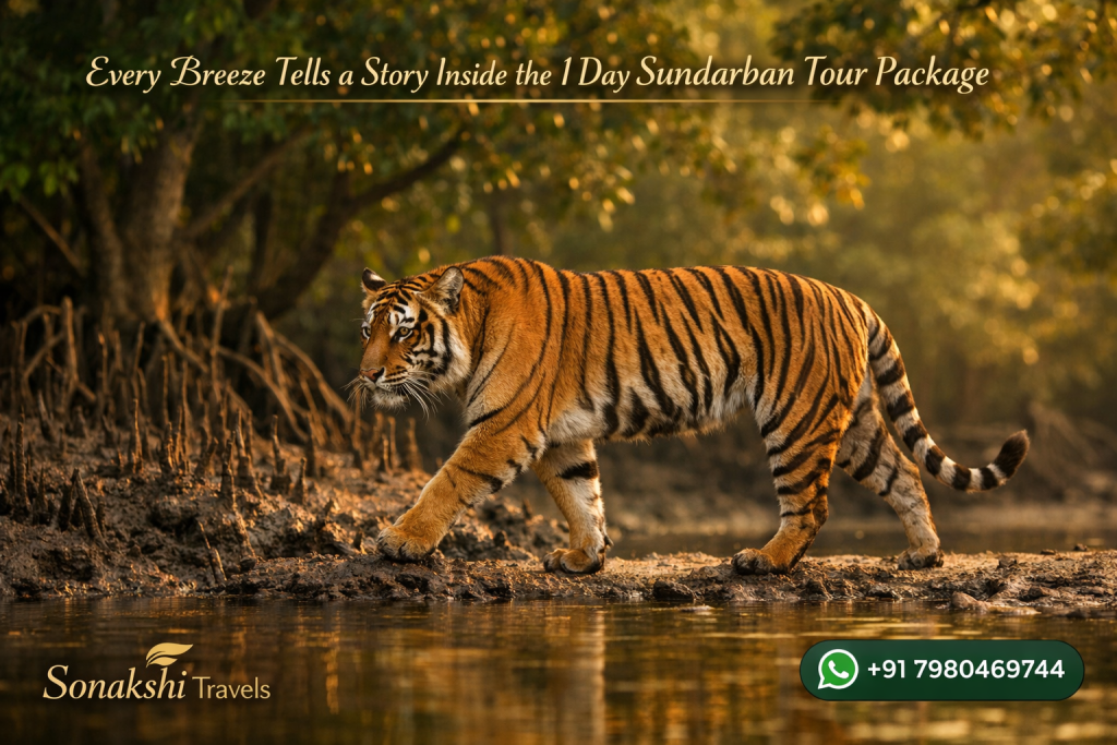 Every Breeze Tells a Story Inside the 1 Day Sundarban Tour Package