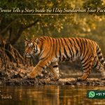 Every Breeze Tells a Story Inside the 1 Day Sundarban Tour Package