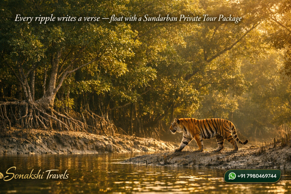 Every ripple writes a verse —float with a Sundarban Private Tour Package