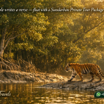 Every ripple writes a verse —float with a Sundarban Private Tour Package