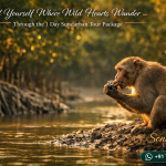 Find Yourself Where Wild Hearts Wander - Through the 1 Day Sundarban Tour Package